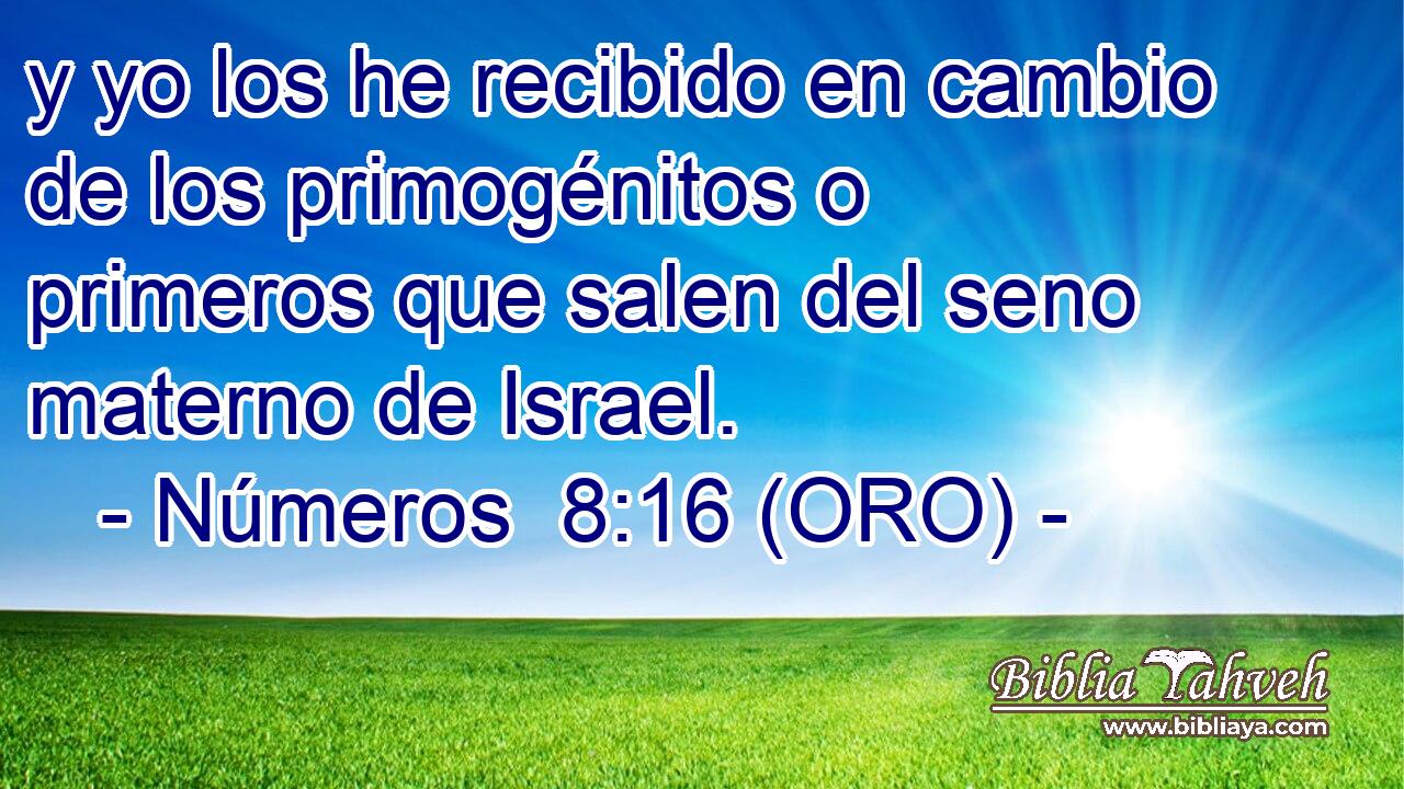  y yo los he recibido en cambio de los primogénitos o primeros que salen del seno materno de Israel. 