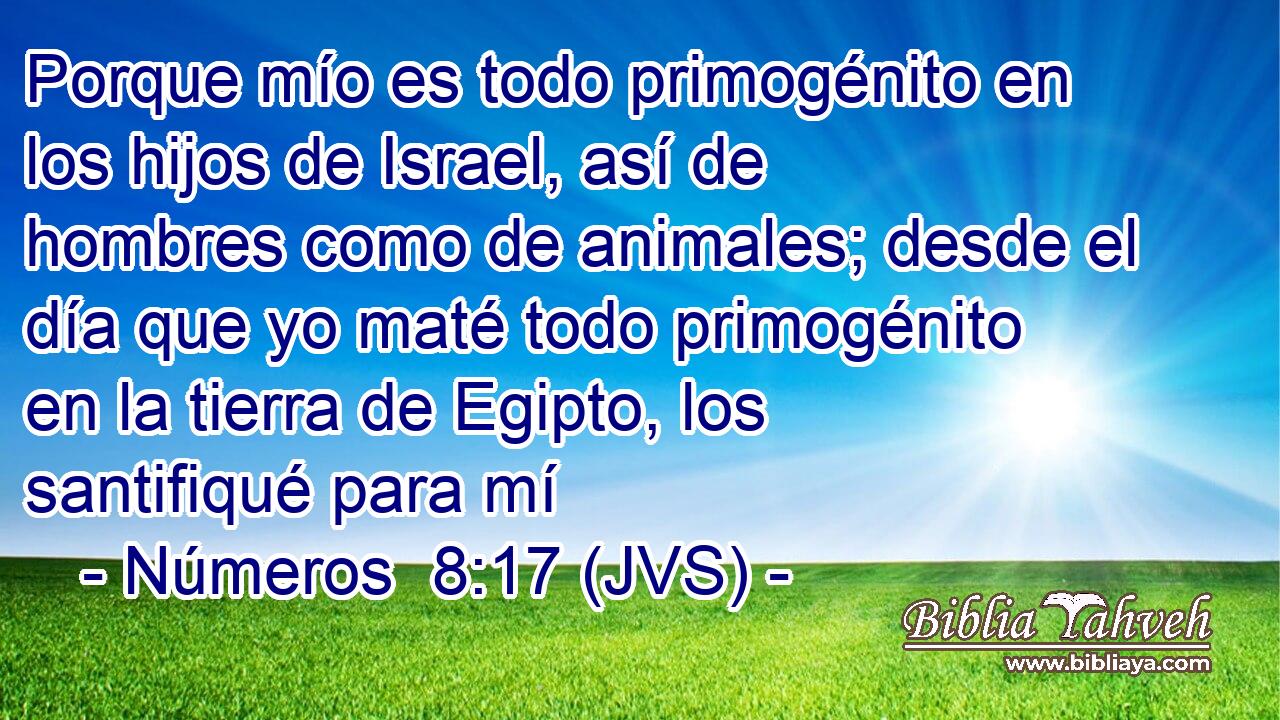 Porque mío es todo primogénito en los hijos de Israel, así de hombres como de animales; desde el día que yo maté todo primogénito en la tierra de Egipto, los santifiqué para mí