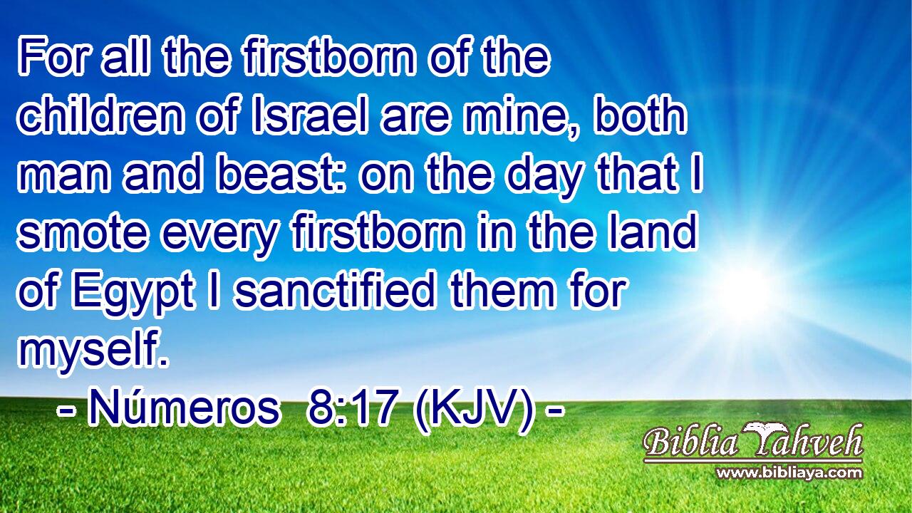 For all the firstborn of the children of Israel are mine, both man and beast: on the day that I smote every firstborn in the land of Egypt I sanctified them for myself.