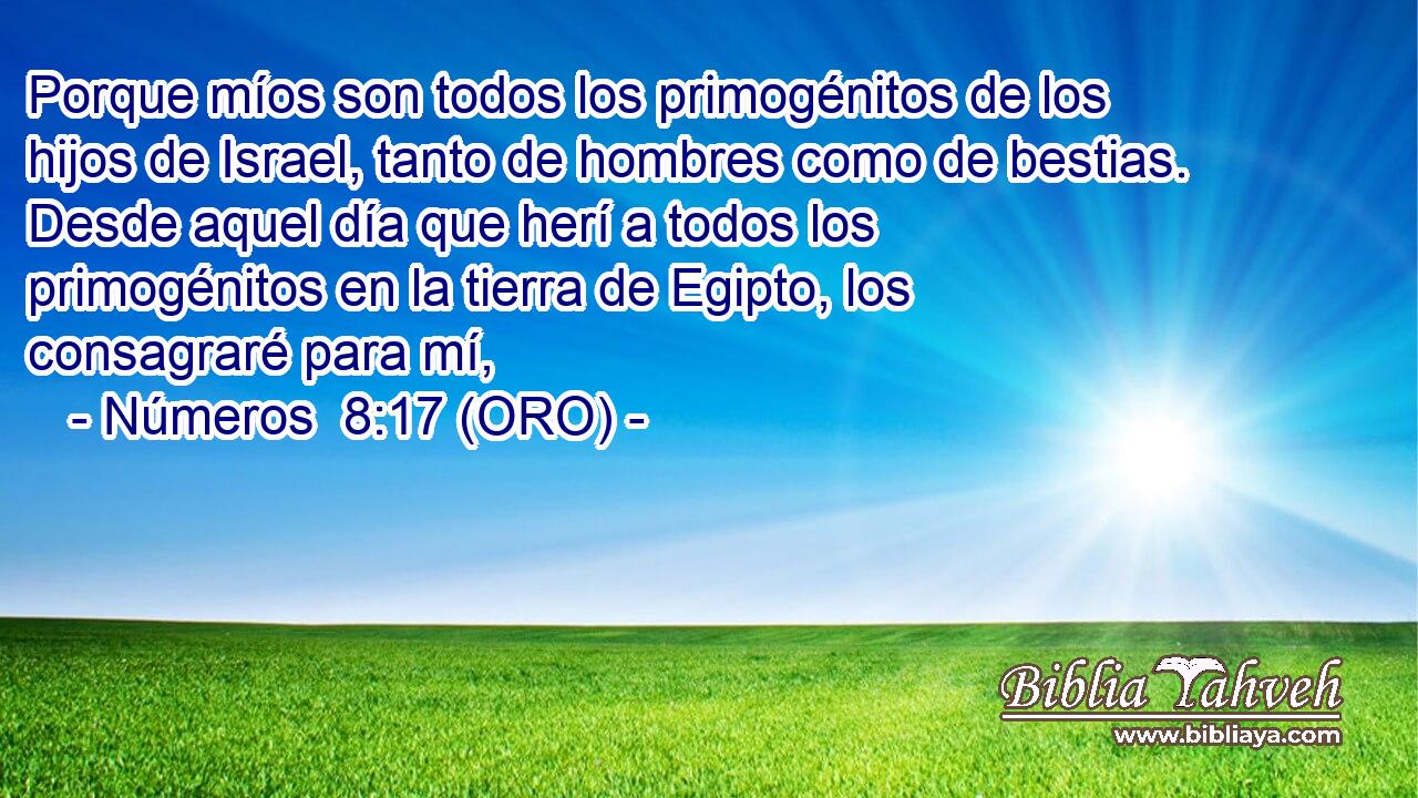  Porque míos son todos los primogénitos de los hijos de Israel, tanto de hombres como de bestias. Desde aquel día que herí a todos los primogénitos en la tierra de Egipto, los consagraré para mí, 