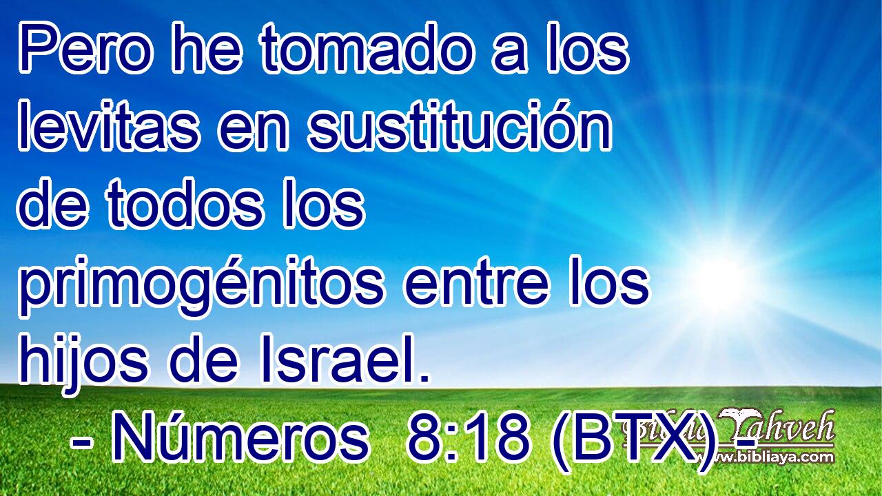 Pero he tomado a los levitas en sustitución de todos los primogénitos entre los hijos de Israel.