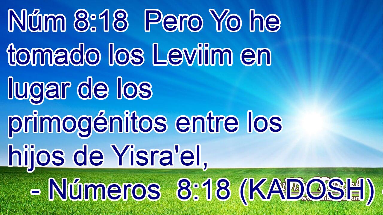  Pero Yo he tomado los Leviim en lugar de los primogénitos entre los hijos de Yisra'el, 