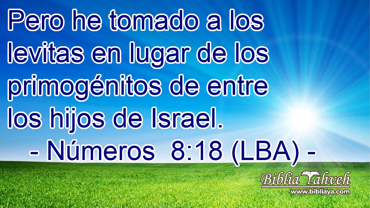 Pero he tomado a los levitas en lugar de los primogénitos de entre los hijos de Israel.