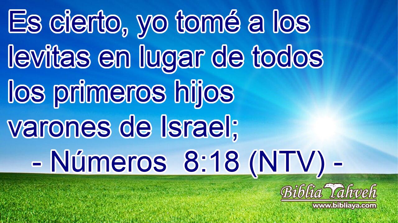 Es cierto, yo tomé a los levitas en lugar de todos los primeros hijos varones de Israel;