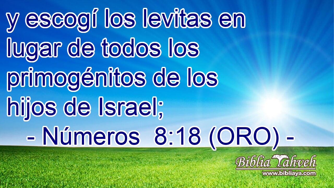  y escogí los levitas en lugar de todos los primogénitos de los hijos de Israel; 