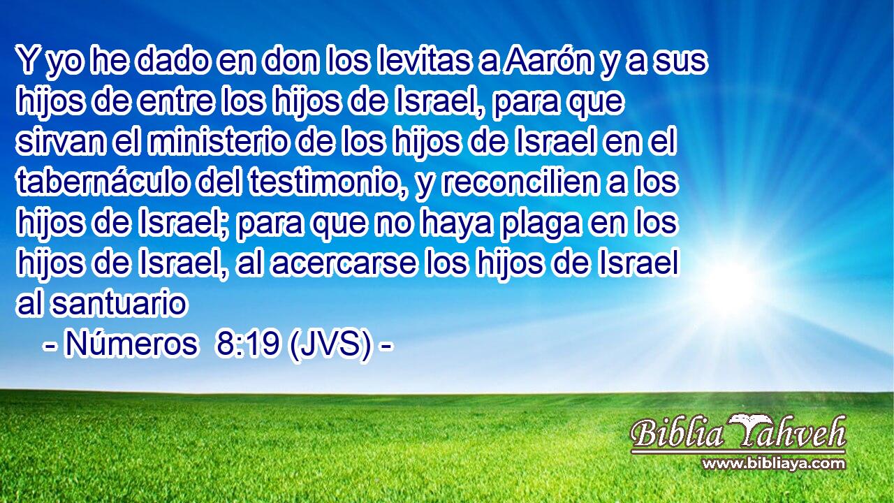 Y yo he dado en don los levitas a Aarón y a sus hijos de entre los hijos de Israel, para que sirvan el ministerio de los hijos de Israel en el tabernáculo del testimonio, y reconcilien a los hijos de Israel; para que no haya plaga en los hijos de Israel, al acercarse los hijos de Israel al santuario