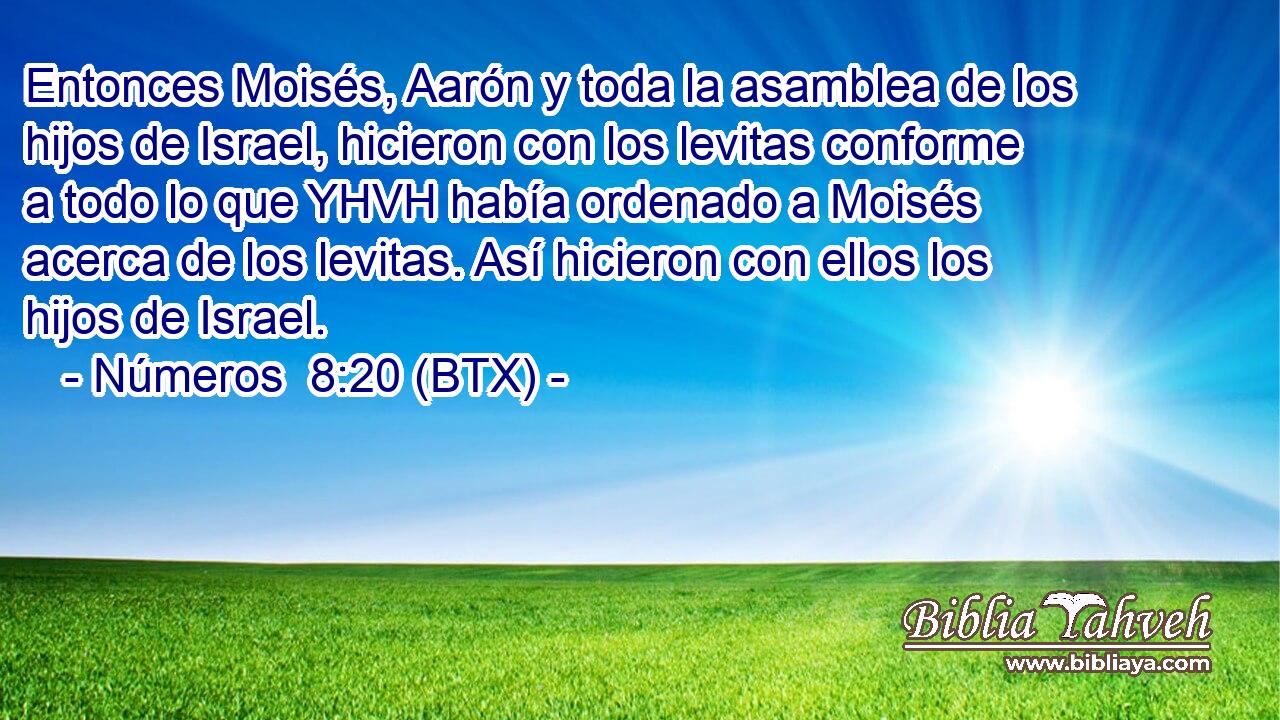 Entonces Moisés, Aarón y toda la asamblea de los hijos de Israel, hicieron con los levitas conforme a todo lo que YHVH había ordenado a Moisés acerca de los levitas. Así hicieron con ellos los hijos de Israel.