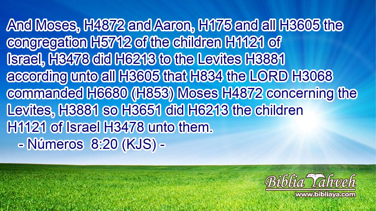 And Moses, H4872 and Aaron, H175 and all H3605 the congregation H5712 of the children H1121 of Israel, H3478 did H6213 to the Levites H3881 according unto all H3605 that H834 the LORD H3068 commanded H6680 (H853) Moses H4872 concerning the Levites, H3881 so H3651 did H6213 the children H1121 of Israel H3478 unto them.