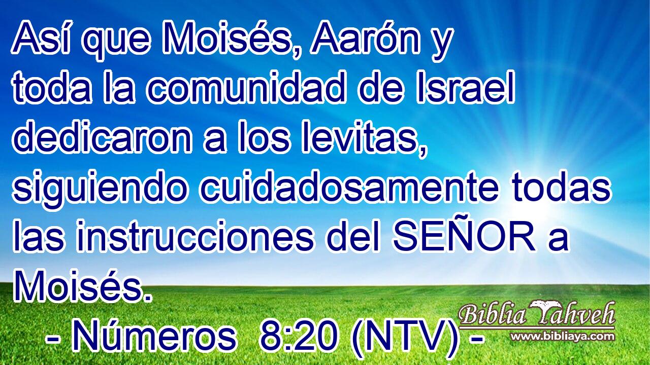 Así que Moisés, Aarón y toda la comunidad de Israel dedicaron a los levitas, siguiendo cuidadosamente todas las instrucciones del SEÑOR a Moisés.