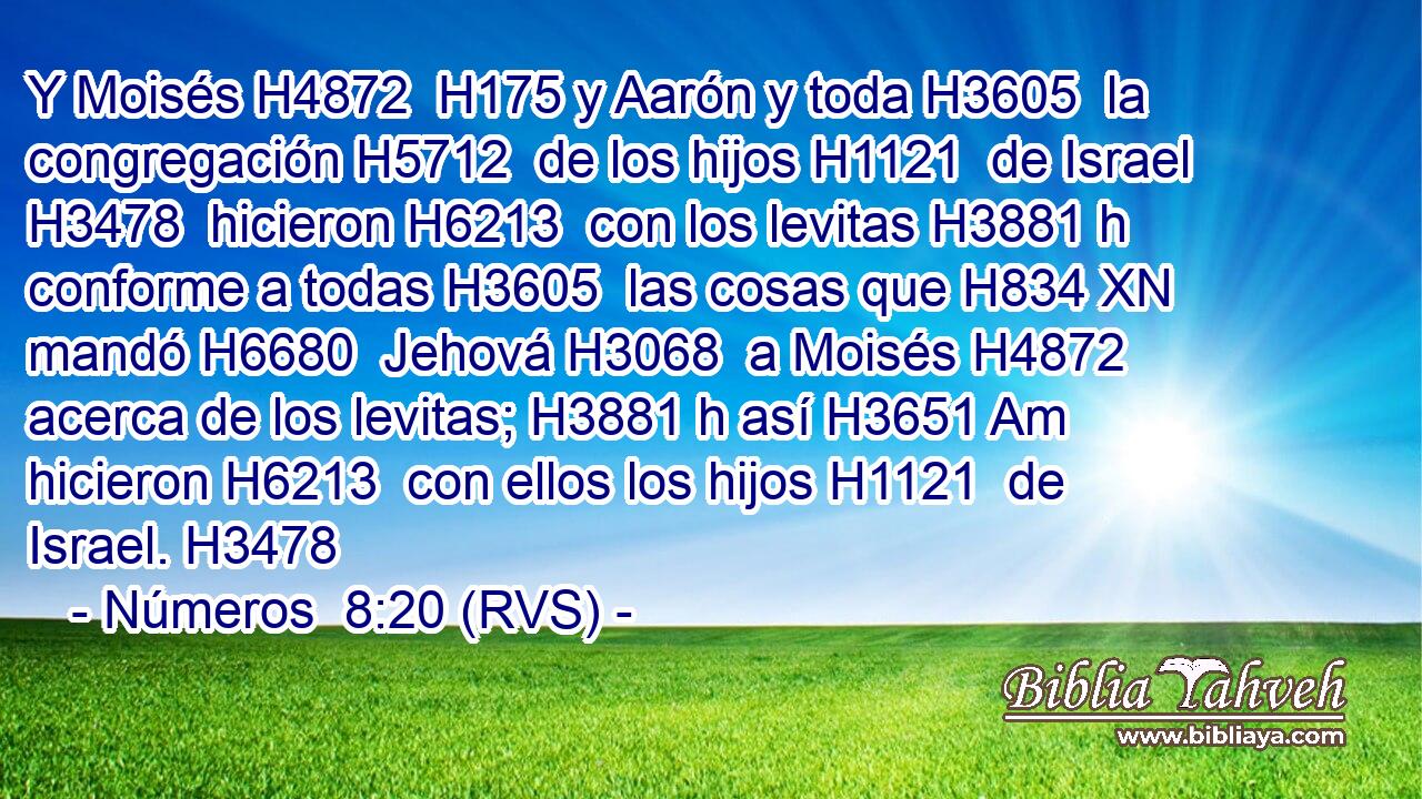 Y Moisés H4872  H175 y Aarón y toda H3605  la congregación H5712  de los hijos H1121  de Israel H3478  hicieron H6213  con los levitas H3881 h conforme a todas H3605  las cosas que H834 XN mandó H6680  Jehová H3068  a Moisés H4872  acerca de los levitas; H3881 h así H3651 Am hicieron H6213  con ellos los hijos H1121  de Israel. H3478  