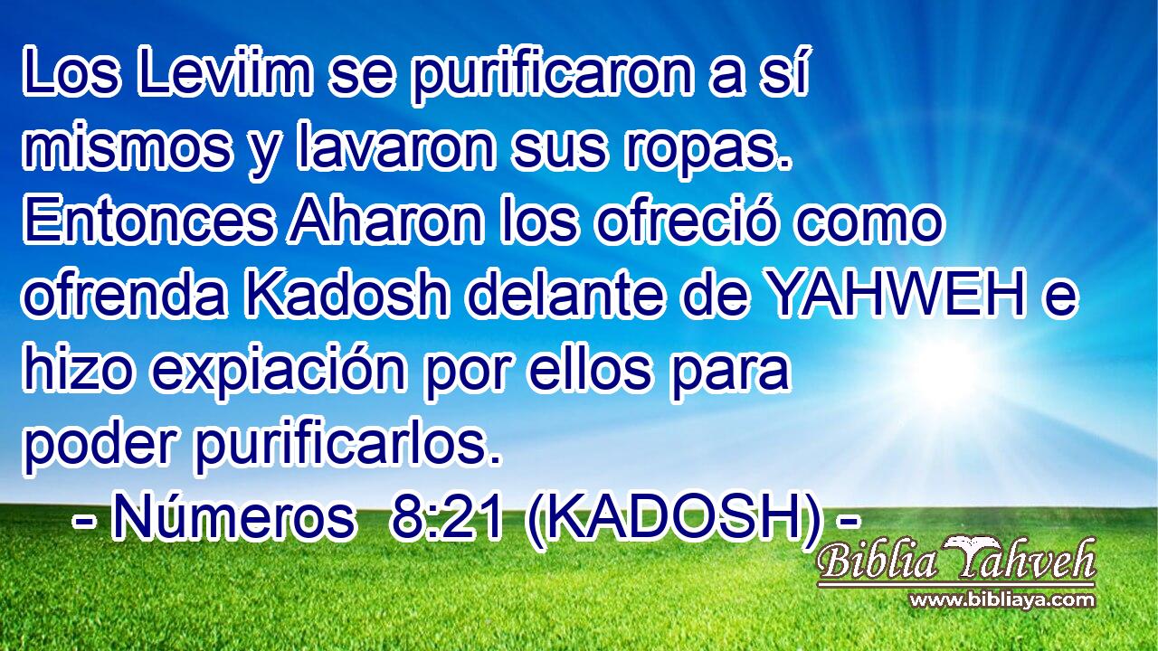  Los Leviim se purificaron a sí mismos y lavaron sus ropas. Entonces Aharon los ofreció como ofrenda Kadosh delante de YAHWEH e hizo expiación por ellos para poder purificarlos. 