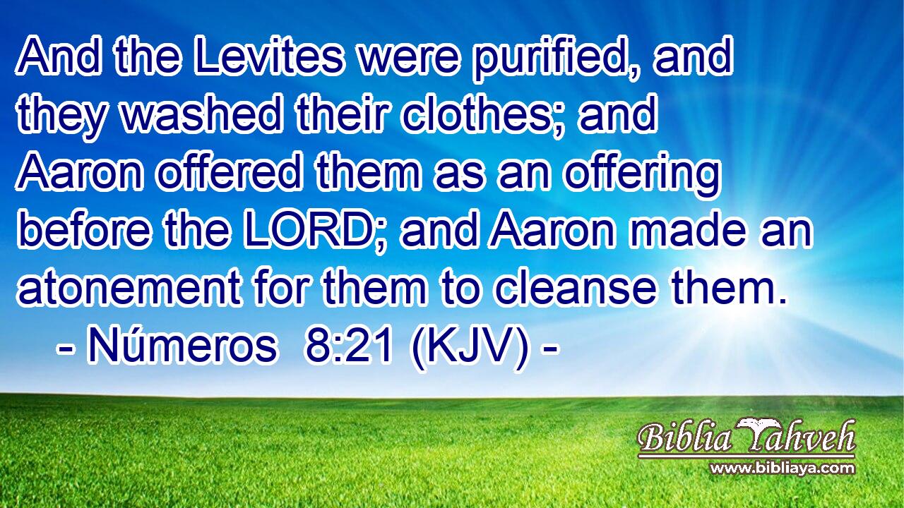 And the Levites were purified, and they washed their clothes; and Aaron offered them as an offering before the LORD; and Aaron made an atonement for them to cleanse them.