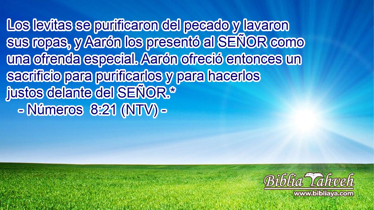 Los levitas se purificaron del pecado y lavaron sus ropas, y Aarón los presentó al SEÑOR como una ofrenda especial. Aarón ofreció entonces un sacrificio para purificarlos y para hacerlos justos delante del SEÑOR.*