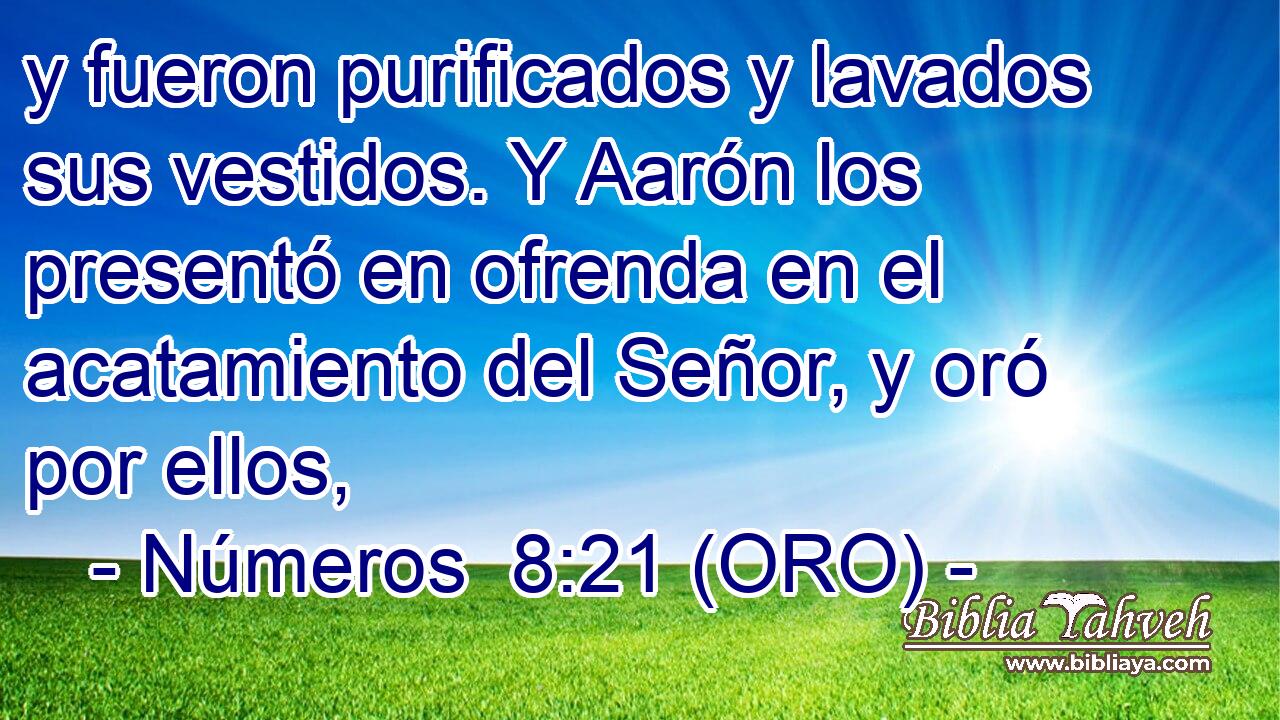  y fueron purificados y lavados sus vestidos. Y Aarón los presentó en ofrenda en el acatamiento del Señor, y oró por ellos, 