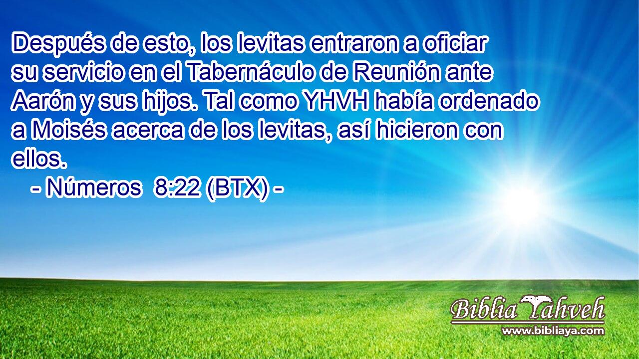 Después de esto, los levitas entraron a oficiar su servicio en el Tabernáculo de Reunión ante Aarón y sus hijos. Tal como YHVH había ordenado a Moisés acerca de los levitas, así hicieron con ellos.