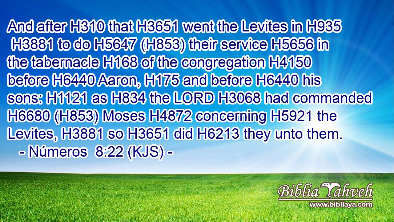 And after H310 that H3651 went the Levites in H935  H3881 to do H5647 (H853) their service H5656 in the tabernacle H168 of the congregation H4150 before H6440 Aaron, H175 and before H6440 his sons: H1121 as H834 the LORD H3068 had commanded H6680 (H853) Moses H4872 concerning H5921 the Levites, H3881 so H3651 did H6213 they unto them.