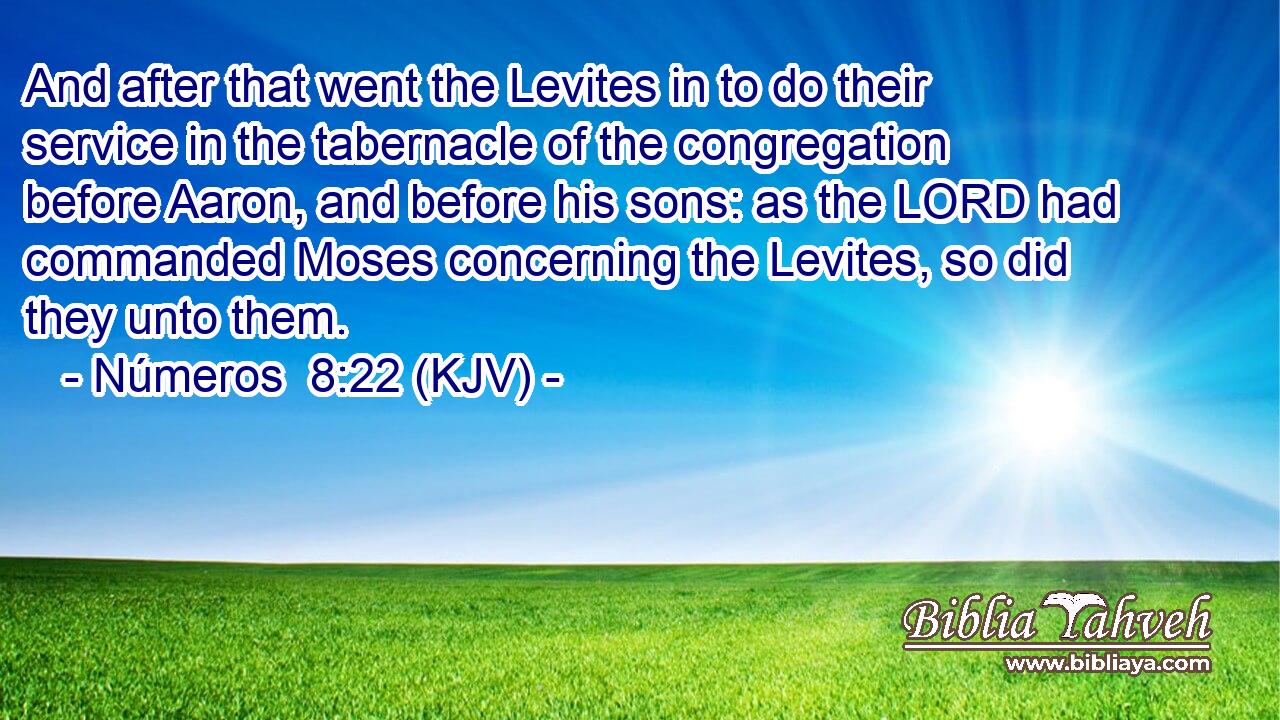 And after that went the Levites in to do their service in the tabernacle of the congregation before Aaron, and before his sons: as the LORD had commanded Moses concerning the Levites, so did they unto them.