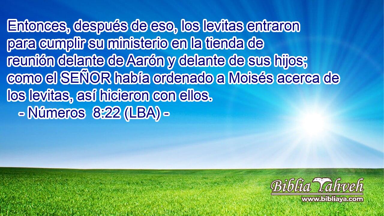 Entonces, después de eso, los levitas entraron para cumplir su ministerio en la tienda de reunión delante de Aarón y delante de sus hijos; como el SEÑOR había ordenado a Moisés acerca de los levitas, así hicieron con ellos.