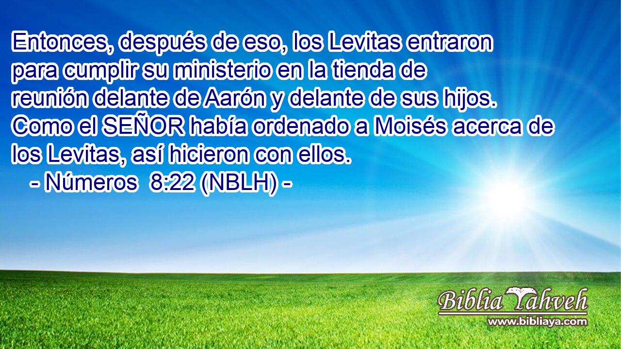  Entonces, después de eso, los Levitas entraron para cumplir su ministerio en la tienda de reunión delante de Aarón y delante de sus hijos. Como el SEÑOR había ordenado a Moisés acerca de los Levitas, así hicieron con ellos. 