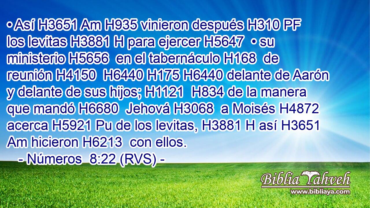 • Así H3651 Am H935 vinieron después H310 PF los levitas H3881 H para ejercer H5647  • su ministerio H5656  en el tabernáculo H168  de reunión H4150  H6440 H175 H6440 delante de Aarón y delante de sus hijos; H1121  H834 de la manera que mandó H6680  Jehová H3068  a Moisés H4872  acerca H5921 Pu de los levitas, H3881 H así H3651 Am hicieron H6213  con ellos. 