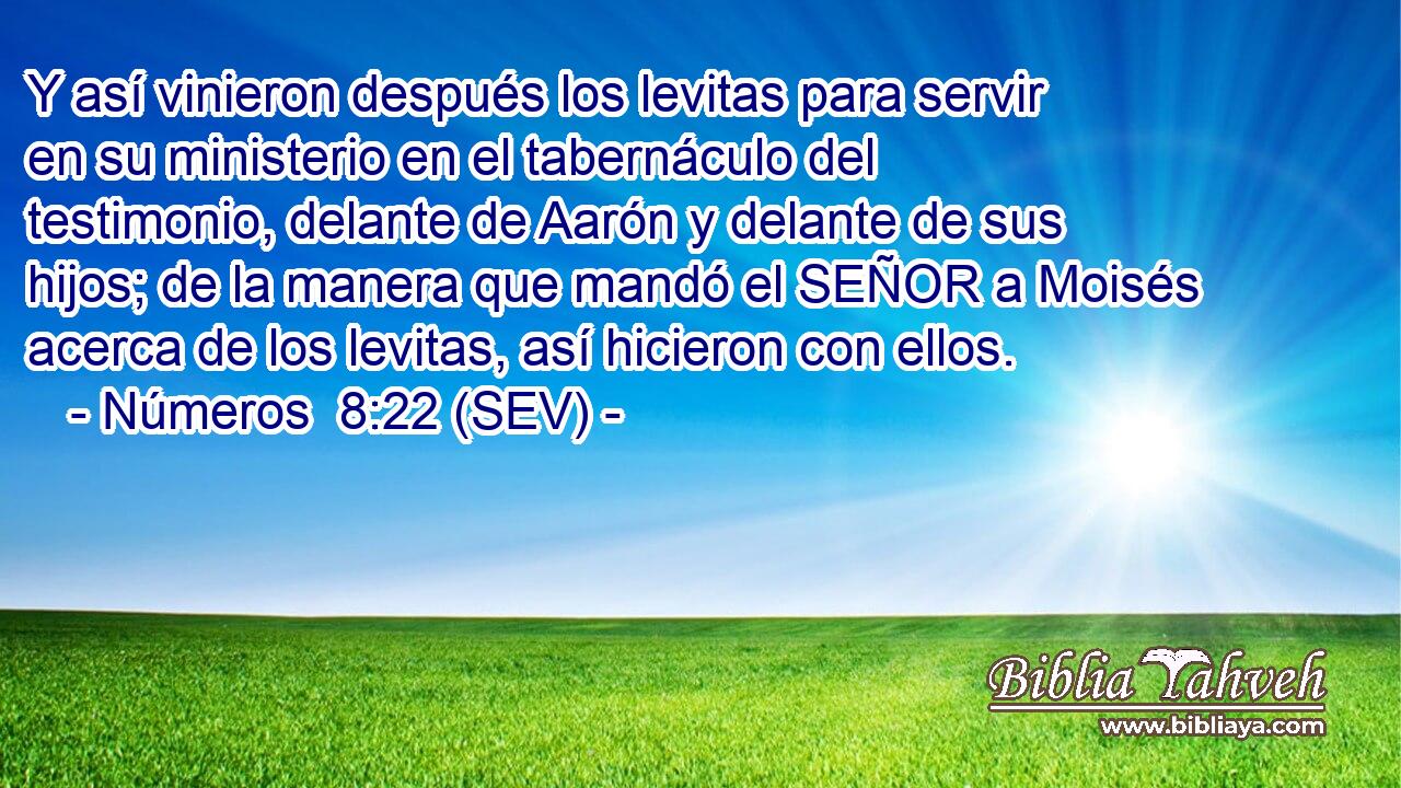 Y así vinieron después los levitas para servir en su ministerio en el tabernáculo del testimonio, delante de Aarón y delante de sus hijos; de la manera que mandó el SEÑOR a Moisés acerca de los levitas, así hicieron con ellos.