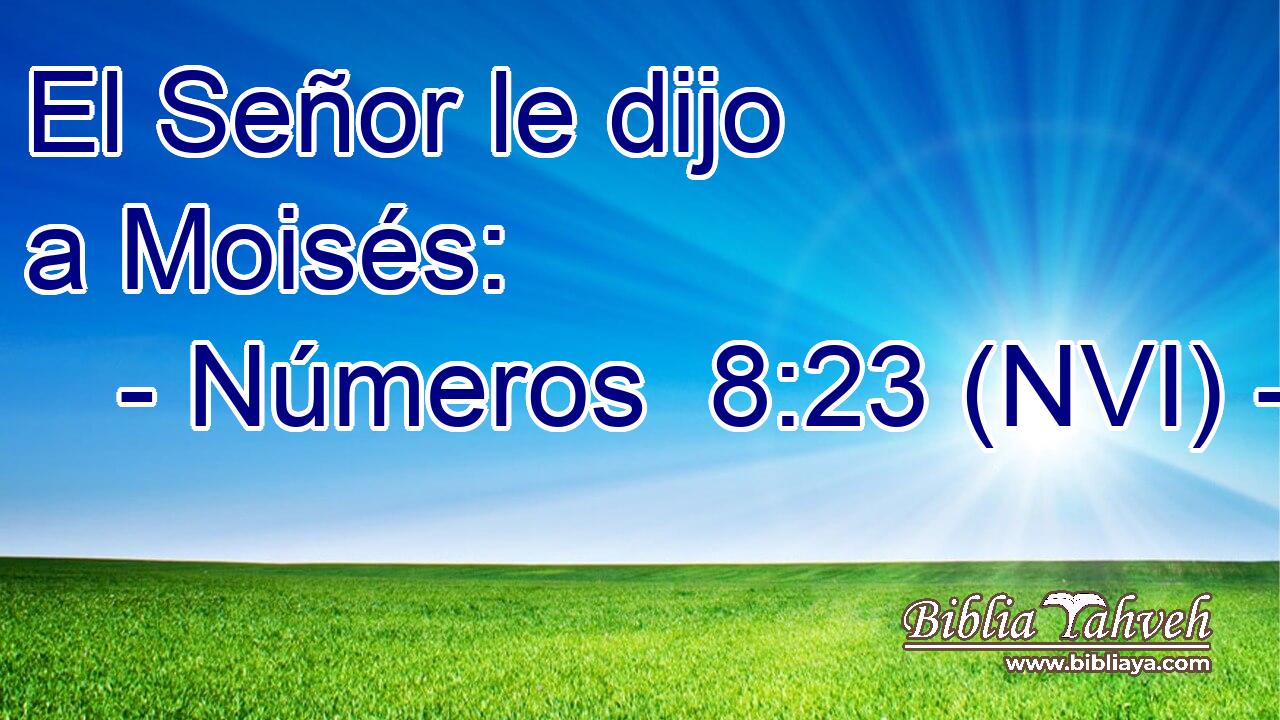  El Señor le dijo a Moisés: 
