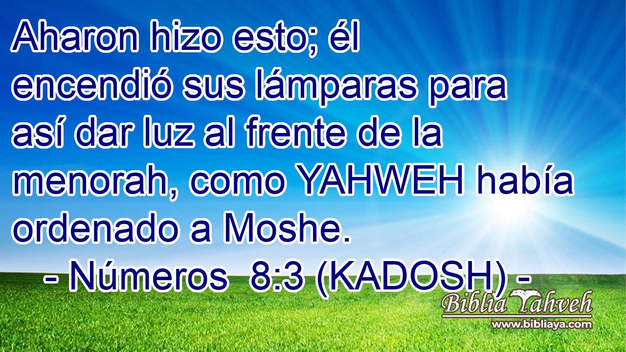  Aharon hizo esto; él encendió sus lámparas para así dar luz al frente de la menorah, como YAHWEH había ordenado a Moshe. 