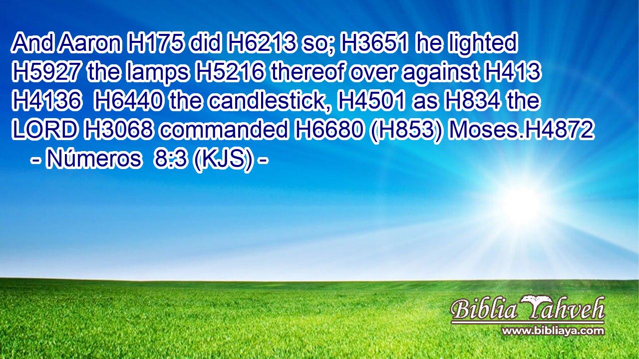 And Aaron H175 did H6213 so; H3651 he lighted H5927 the lamps H5216 thereof over against H413  H4136  H6440 the candlestick, H4501 as H834 the LORD H3068 commanded H6680 (H853) Moses.H4872