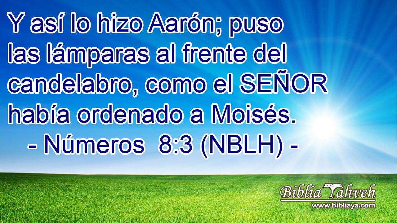  Y así lo hizo Aarón; puso las lámparas al frente del candelabro, como el SEÑOR había ordenado a Moisés. 