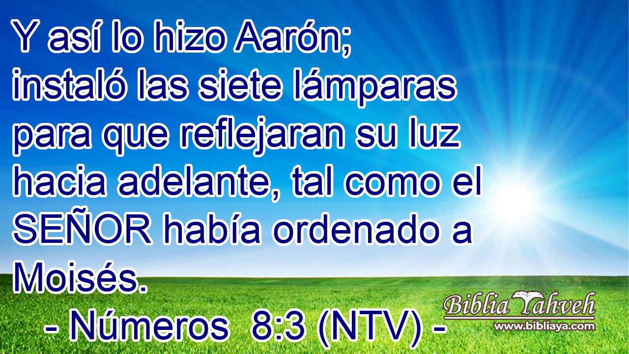 Y así lo hizo Aarón; instaló las siete lámparas para que reflejaran su luz hacia adelante, tal como el SEÑOR había ordenado a Moisés.