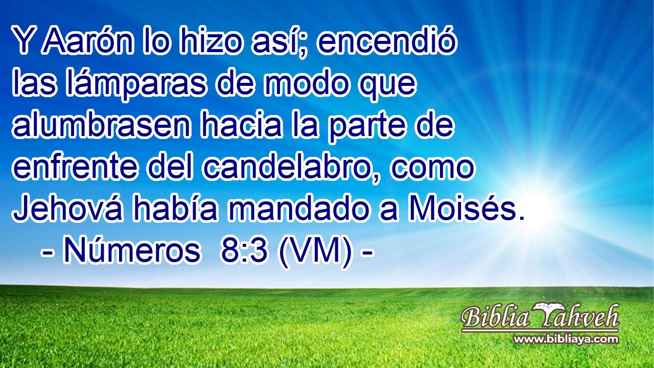  Y Aarón lo hizo así; encendió las lámparas de modo que alumbrasen hacia la parte de enfrente del candelabro, como Jehová había mandado a Moisés. 