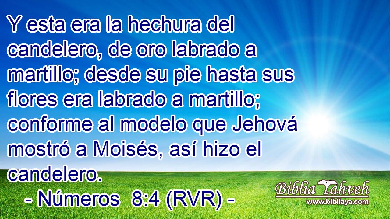 Y esta era la hechura del candelero, de oro labrado a martillo; desde su pie hasta sus flores era labrado a martillo; conforme al modelo que Jehová mostró a Moisés, así hizo el candelero.