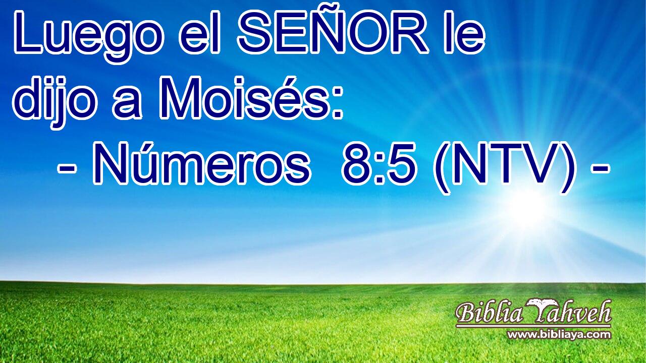 Luego el SEÑOR le dijo a Moisés: