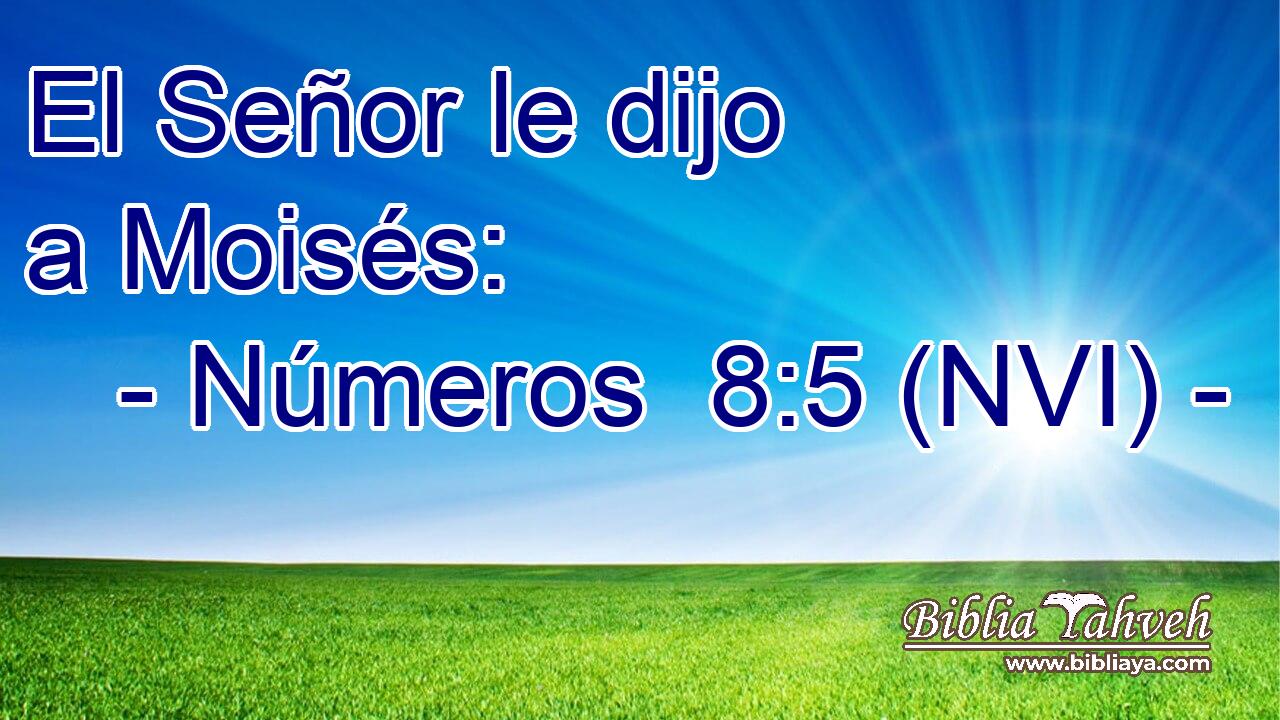  El Señor le dijo a Moisés: 