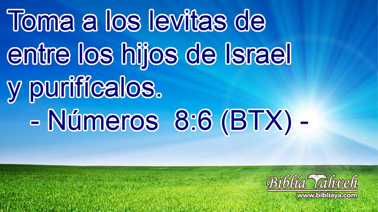 Toma a los levitas de entre los hijos de Israel y purifícalos.