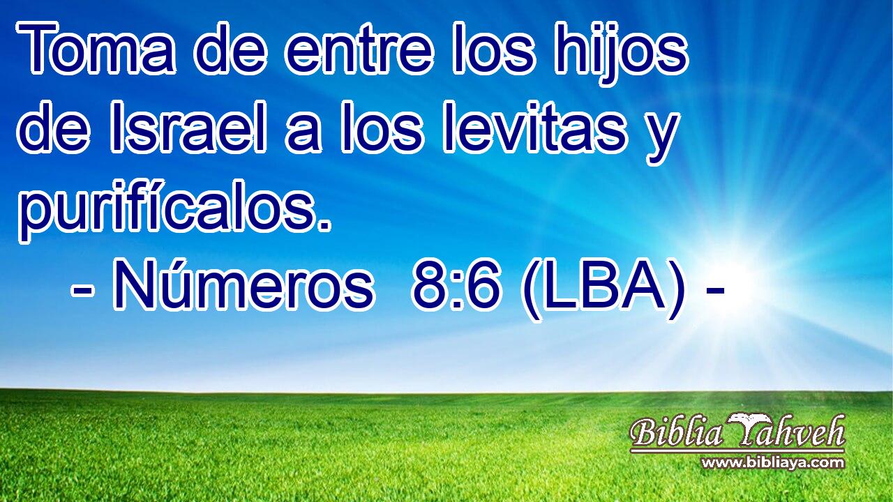 Toma de entre los hijos de Israel a los levitas y purifícalos.