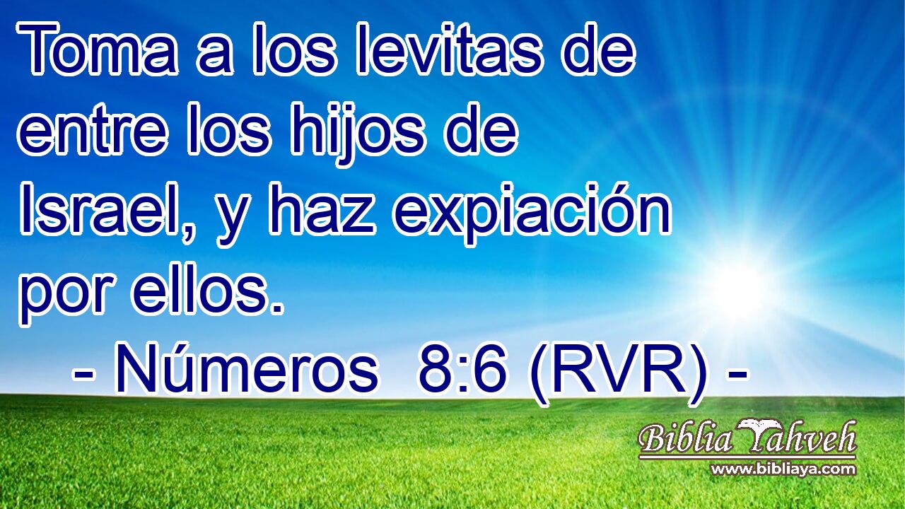 Toma a los levitas de entre los hijos de Israel, y haz expiación por ellos.