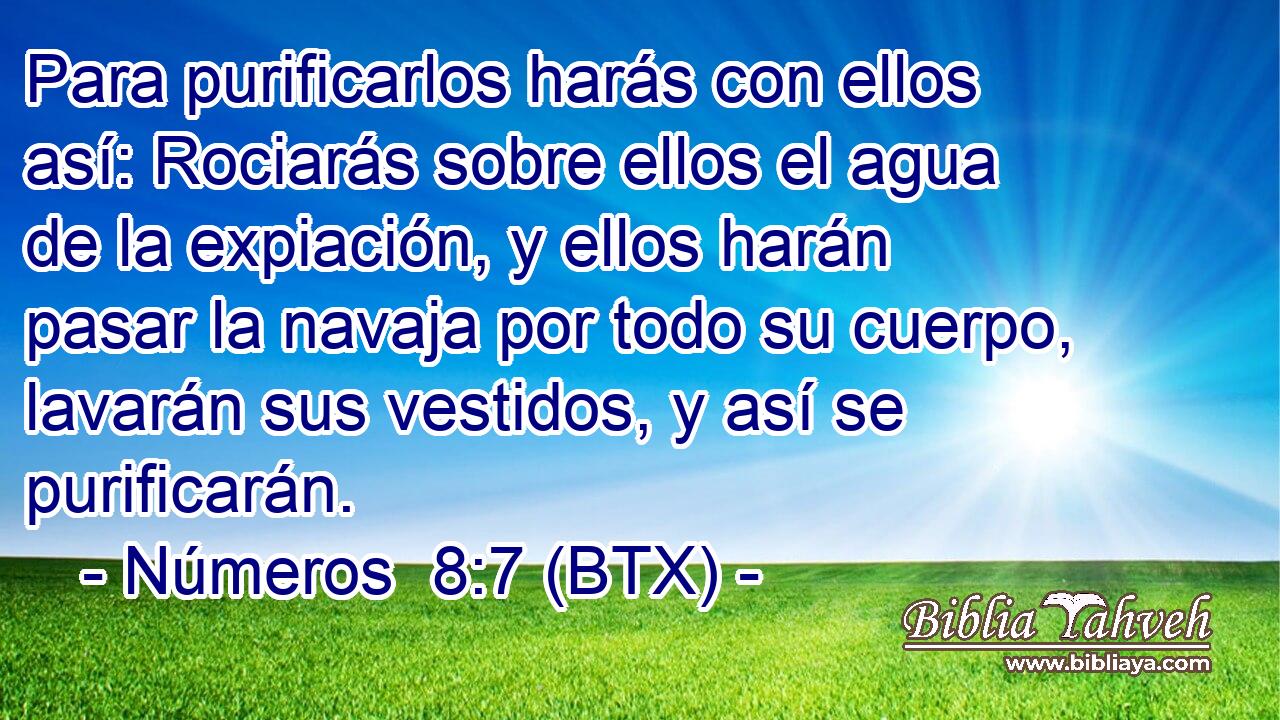 Para purificarlos harás con ellos así: Rociarás sobre ellos el agua de la expiación, y ellos harán pasar la navaja por todo su cuerpo, lavarán sus vestidos, y así se purificarán.