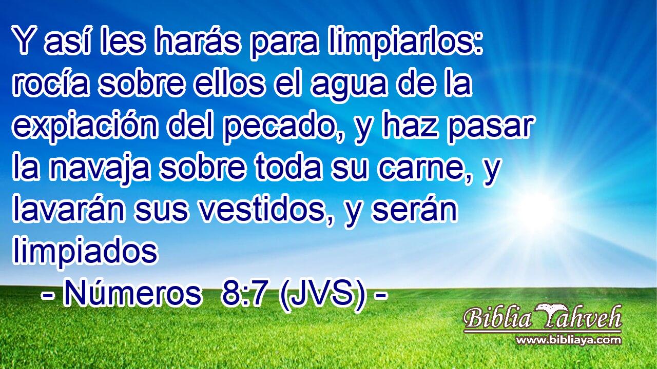 Y así les harás para limpiarlos: rocía sobre ellos el agua de la expiación del pecado, y haz pasar la navaja sobre toda su carne, y lavarán sus vestidos, y serán limpiados