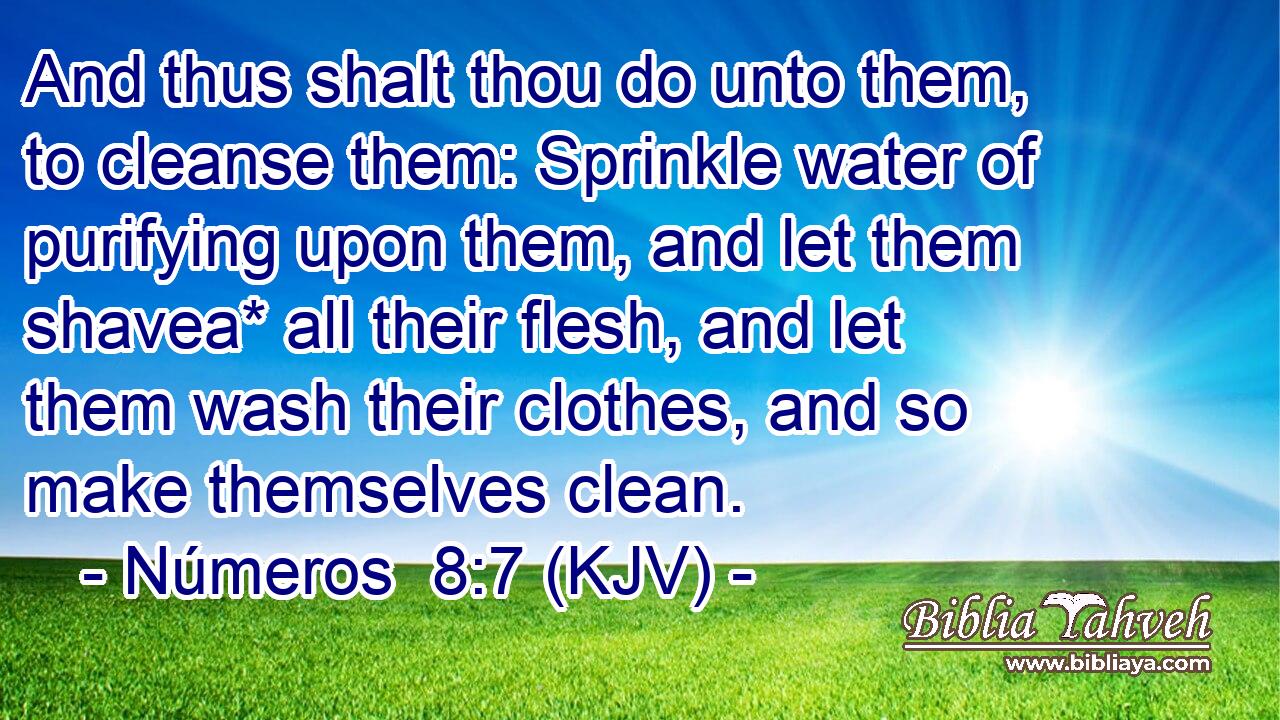 And thus shalt thou do unto them, to cleanse them: Sprinkle water of purifying upon them, and let them shavea* all their flesh, and let them wash their clothes, and so make themselves clean.