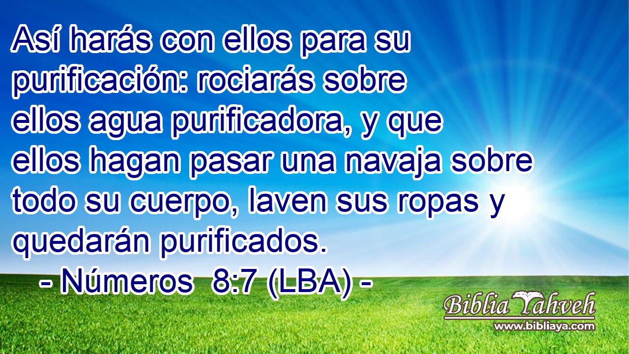 Así harás con ellos para su purificación: rociarás sobre ellos agua purificadora, y que ellos hagan pasar una navaja sobre todo su cuerpo, laven sus ropas y quedarán purificados.