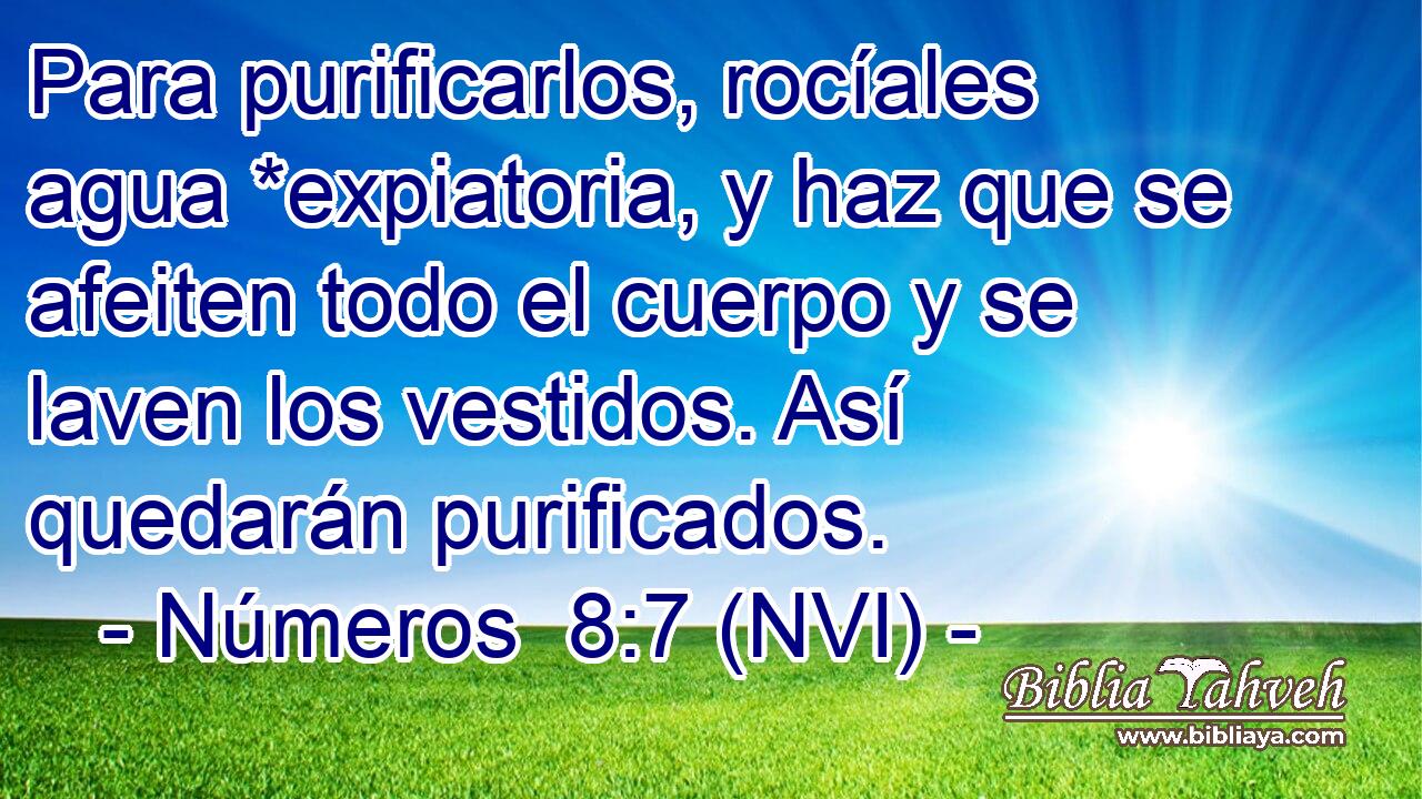  Para purificarlos, rocíales agua *expiatoria, y haz que se afeiten todo el cuerpo y se laven los vestidos. Así quedarán purificados. 