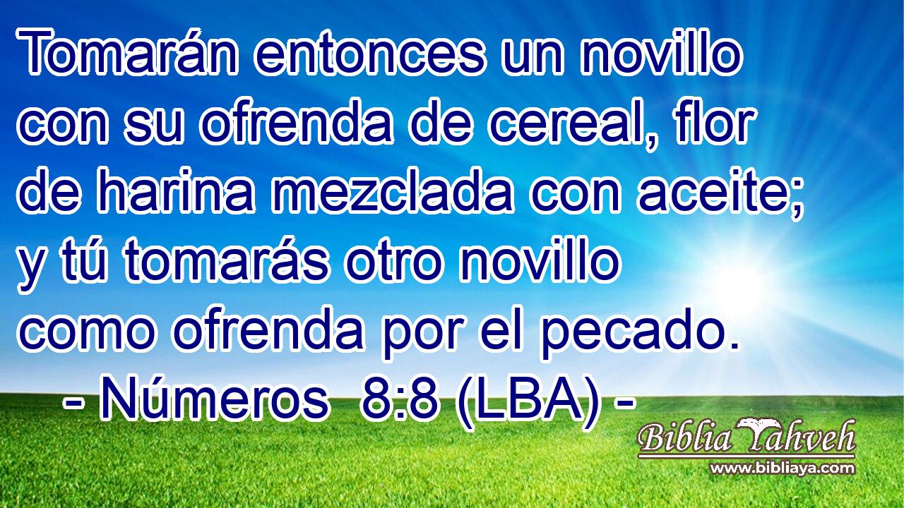 Tomarán entonces un novillo con su ofrenda de cereal, flor de harina mezclada con aceite; y tú tomarás otro novillo como ofrenda por el pecado.