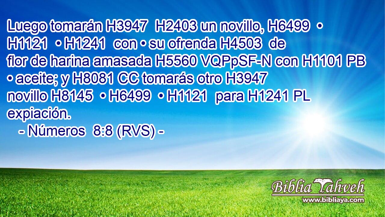 Luego tomarán H3947  H2403 un novillo, H6499  • H1121  • H1241  con • su ofrenda H4503  de flor de harina amasada H5560 VQPpSF-N con H1101 PB • aceite; y H8081 CC tomarás otro H3947  novillo H8145  • H6499  • H1121  para H1241 PL expiación. 