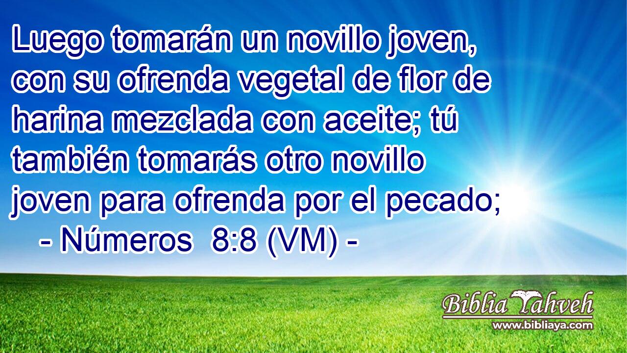  Luego tomarán un novillo joven, con su ofrenda vegetal de flor de harina mezclada con aceite; tú también tomarás otro novillo joven para ofrenda por el pecado; 