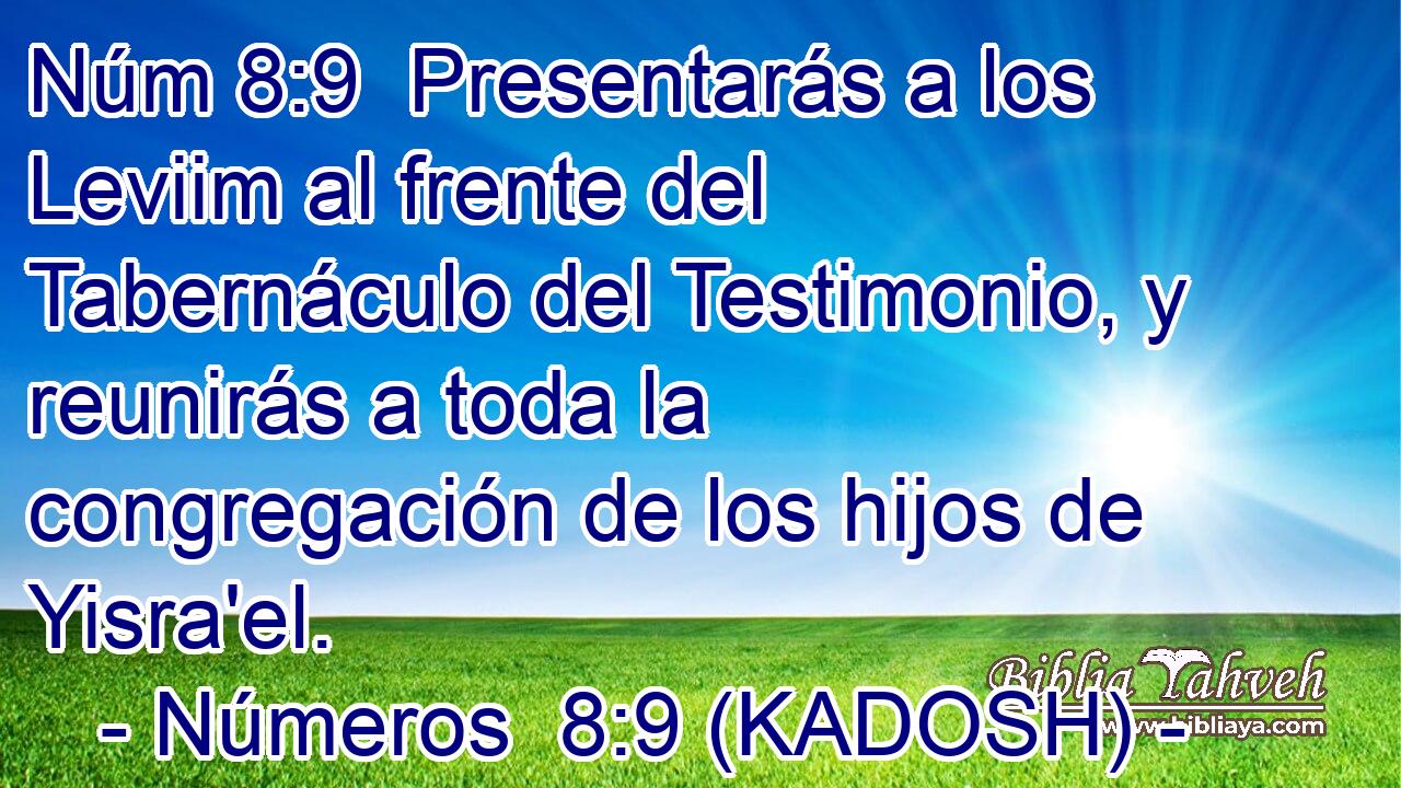  Presentarás a los Leviim al frente del Tabernáculo del Testimonio, y reunirás a toda la congregación de los hijos de Yisra'el. 