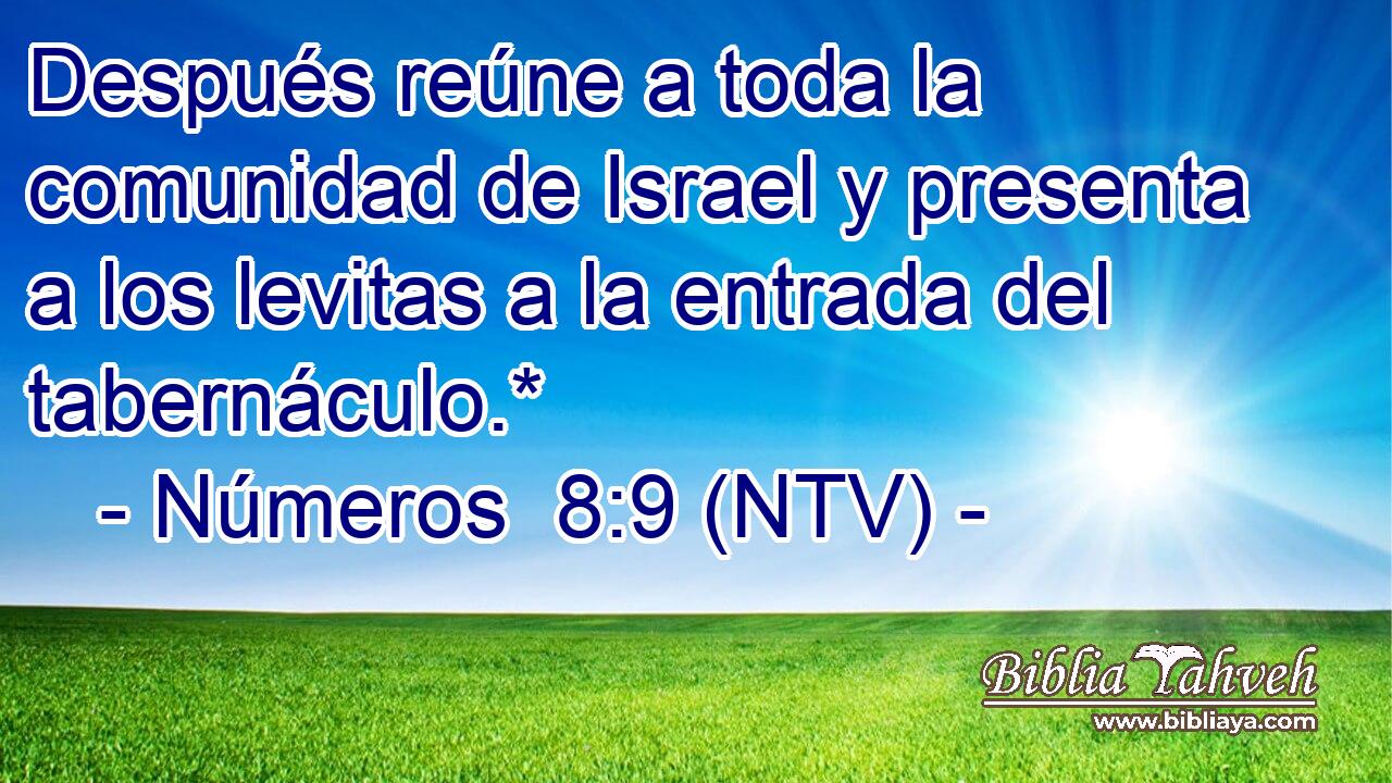Después reúne a toda la comunidad de Israel y presenta a los levitas a la entrada del tabernáculo.*