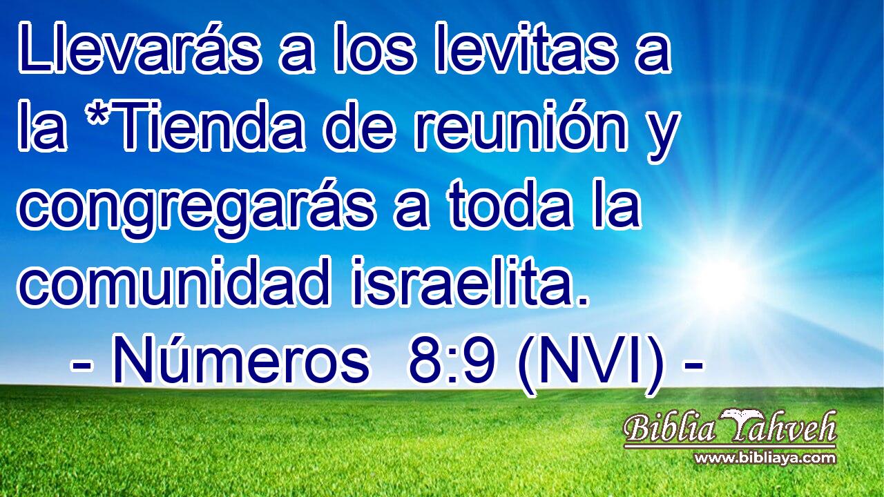  Llevarás a los levitas a la *Tienda de reunión y congregarás a toda la comunidad israelita. 