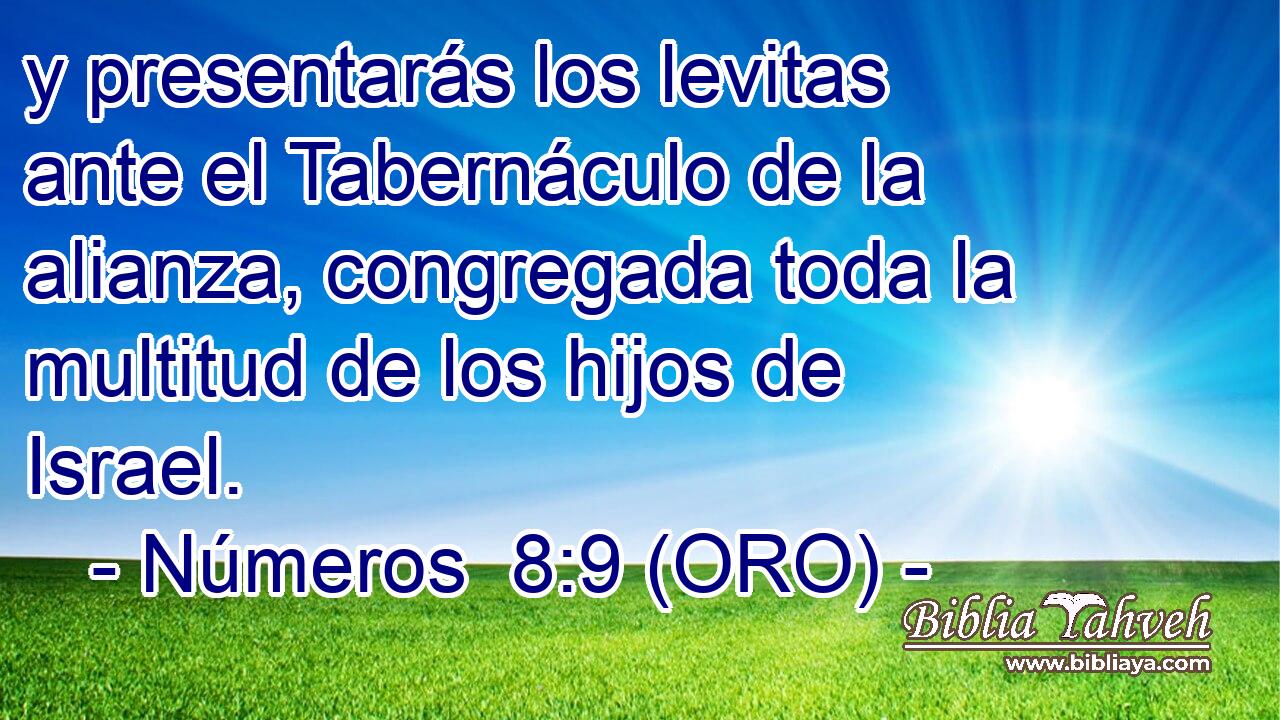  y presentarás los levitas ante el Tabernáculo de la alianza, congregada toda la multitud de los hijos de Israel. 