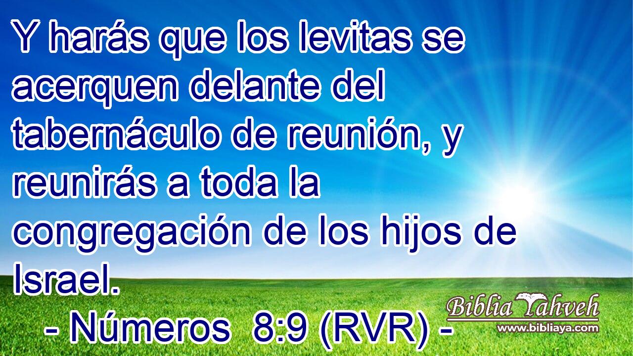 Y harás que los levitas se acerquen delante del tabernáculo de reunión, y reunirás a toda la congregación de los hijos de Israel.